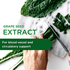 Key ingredients of EMERALD LABS European Grape Seed Extract