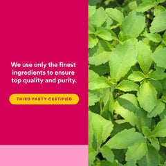 Graphic showing energy, metabolism and cognitive support