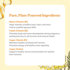 Graphic representing energy focus and mood support