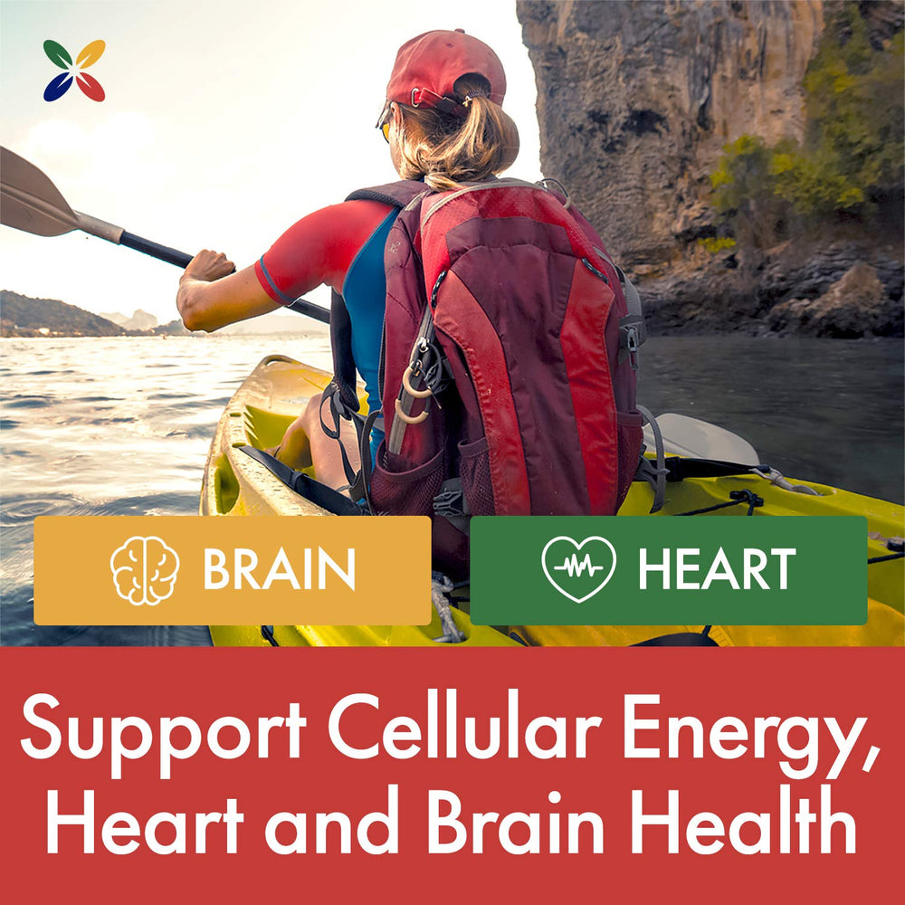 CoQ10 aiding energy production and antioxidant support