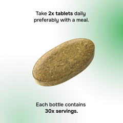 Nutrition and vitamins icons highlighting energy and digestion support