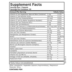 Graphic highlighting Iron, Horsetail, Biotin in formula