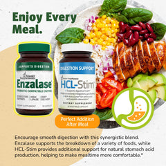 Digestive enzyme blend illustration with plant based enzymes