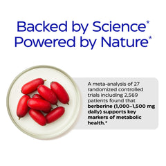 Vegan supplement icon and no artificial fillers badge