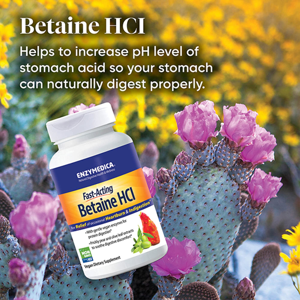 Betaine HCl with protein-digesting enzymes
