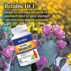 Betaine HCl with protein-digesting enzymes