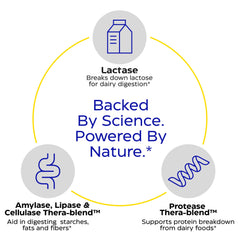Protease and lipase enzyme amounts for dairy digestion