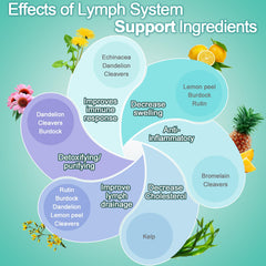 Lifestyle shot featuring EOCUTE Lymph System Support bottle with glass of water