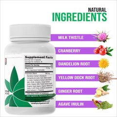 Yellow dock root used in Epic Organicum detox formula