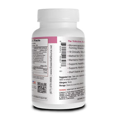 Cranberry illustration for urinary and vaginal health
