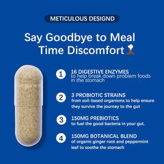 Illustration of enzymes breaking down proteins and carbohydrates