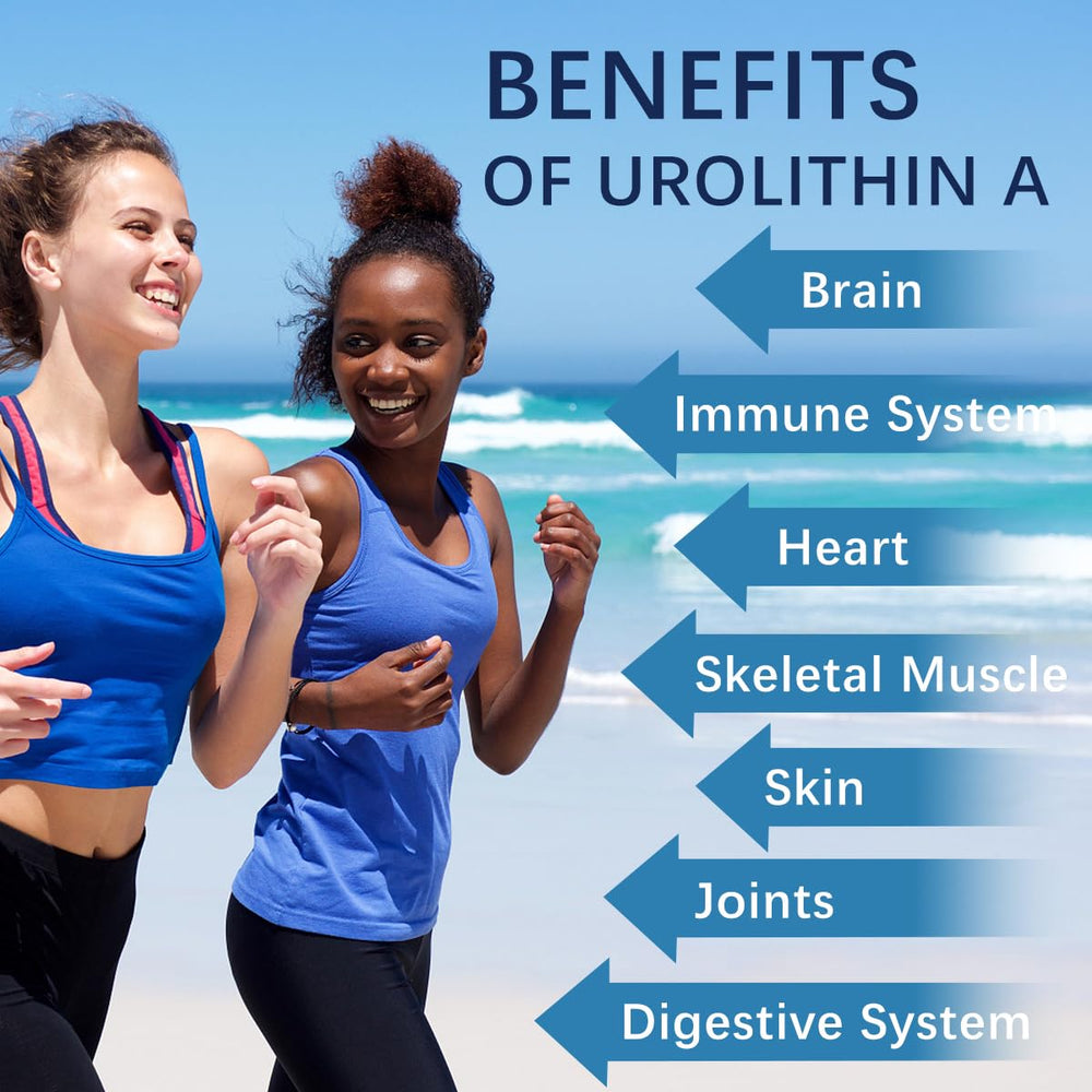 NAD+ and CoQ10 supplements alongside Urolithin A capsules