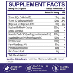 ETANATURE NAD+ holiday wellness gift set idea for thoughtful stocking stuffer