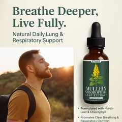 Ingredients: mullein leaf and chlorophyll