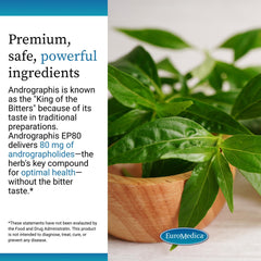 Allergen-friendly supplement free from sugar, gluten, dairy, and soy