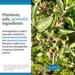 60-capsule bottle displayed for EuroMedica Ashwagandha Complex