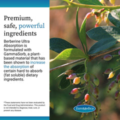 Vegan capsules close-up