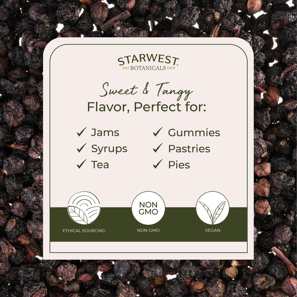 European Sambucus nigra elderberries from Croatia
