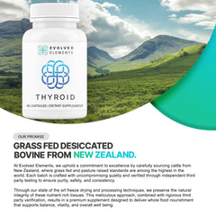 Compact 200mg Thyroid capsules displayed in bottle