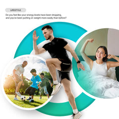 Graphic illustrating GMP-certified processing and lyophilization for Thyroid product