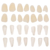 EXCEART 100-Piece Artificial Resin Teeth Veneers product image 1