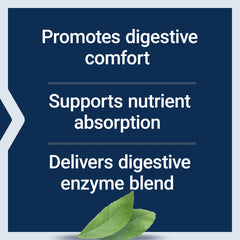 Illustration of 12 clinically studied digestive enzymes.