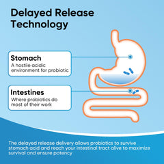 Shelf-stable probiotic bottle design without refrigeration