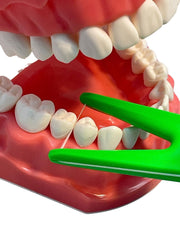 Close-up of E-Z Floss Holder with floss