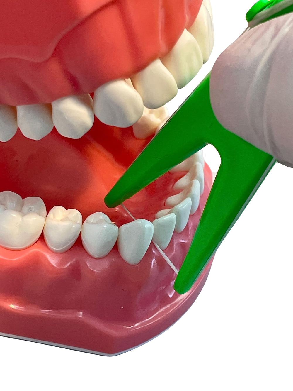 Eco-friendly packaging for E-Z Floss Holder