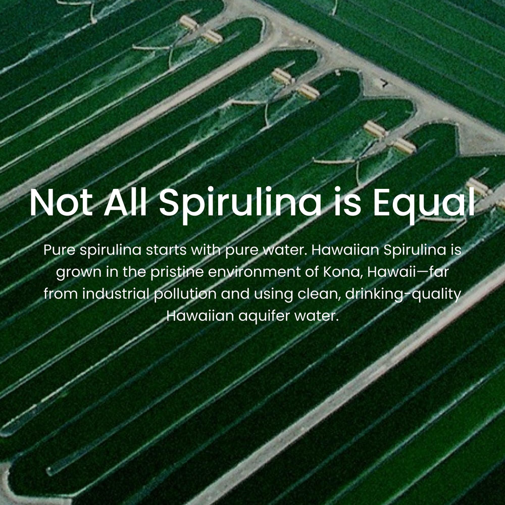 Sustainable Hawaiian spirulina farming in sunlight