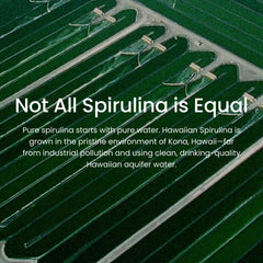 Sustainable Hawaiian spirulina farming in sunlight