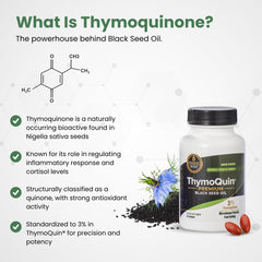 Capsules demonstrating fast-acting absorption