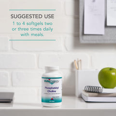 Graphic showing fat digestion support