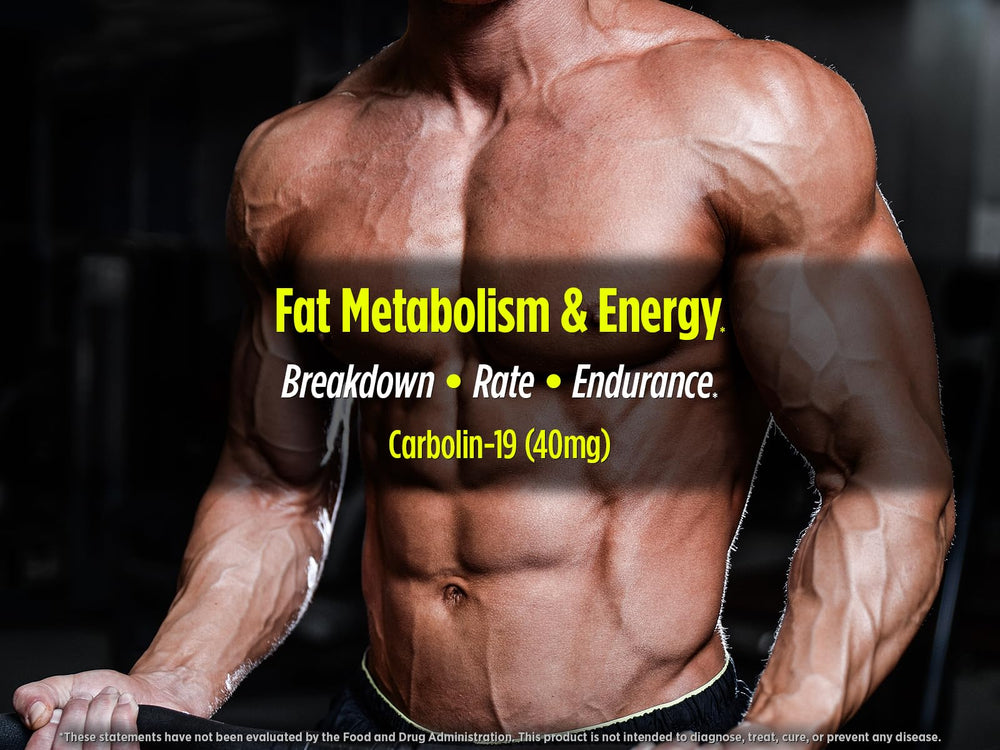 Graphic showing fat metabolism and energy
