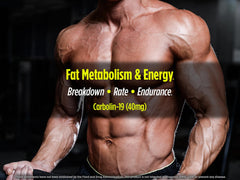 Graphic showing fat metabolism and energy