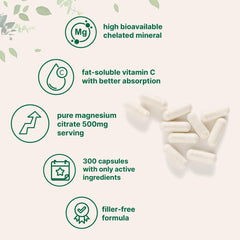 Fat-soluble vitamin C (ascorbyl palmitate) image