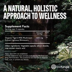 Digestive health illustration for FeelFungie tiger milk mushroom