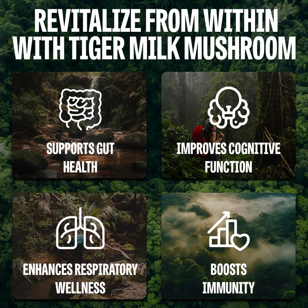 Immune support icon with tiger milk mushroom