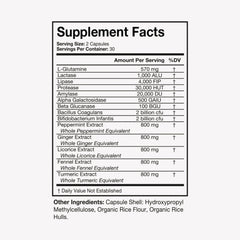 Fennel and Turmeric digestive aid imagery