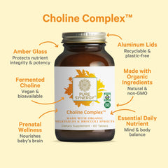 Fermented food-form choline illustration