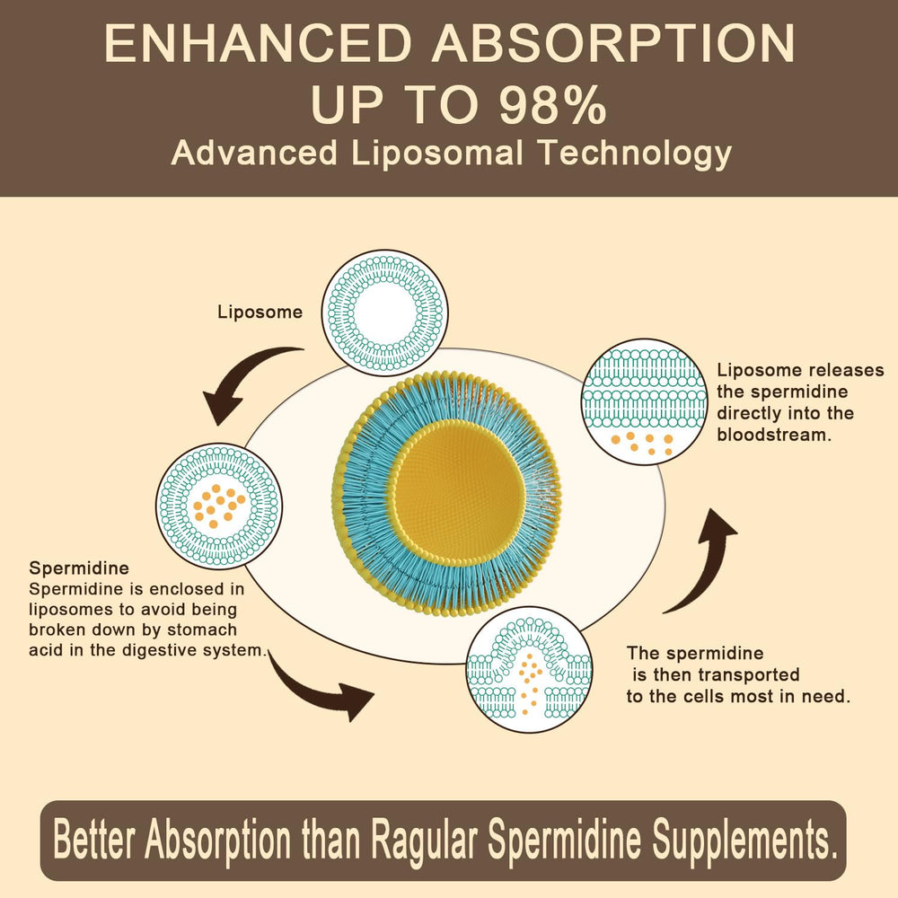 Fermented wheat germ extract used in the supplement