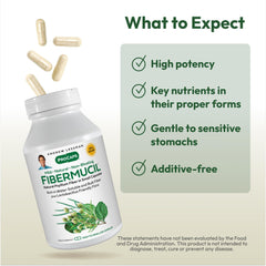 Lactobacillus sporogenes culture illustration