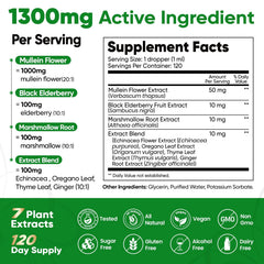 Fidus Mullein Drops 4 fl oz bottle
