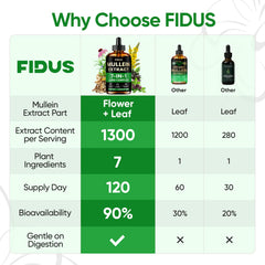 Mullein flower and leaf extract for Fidus Drops