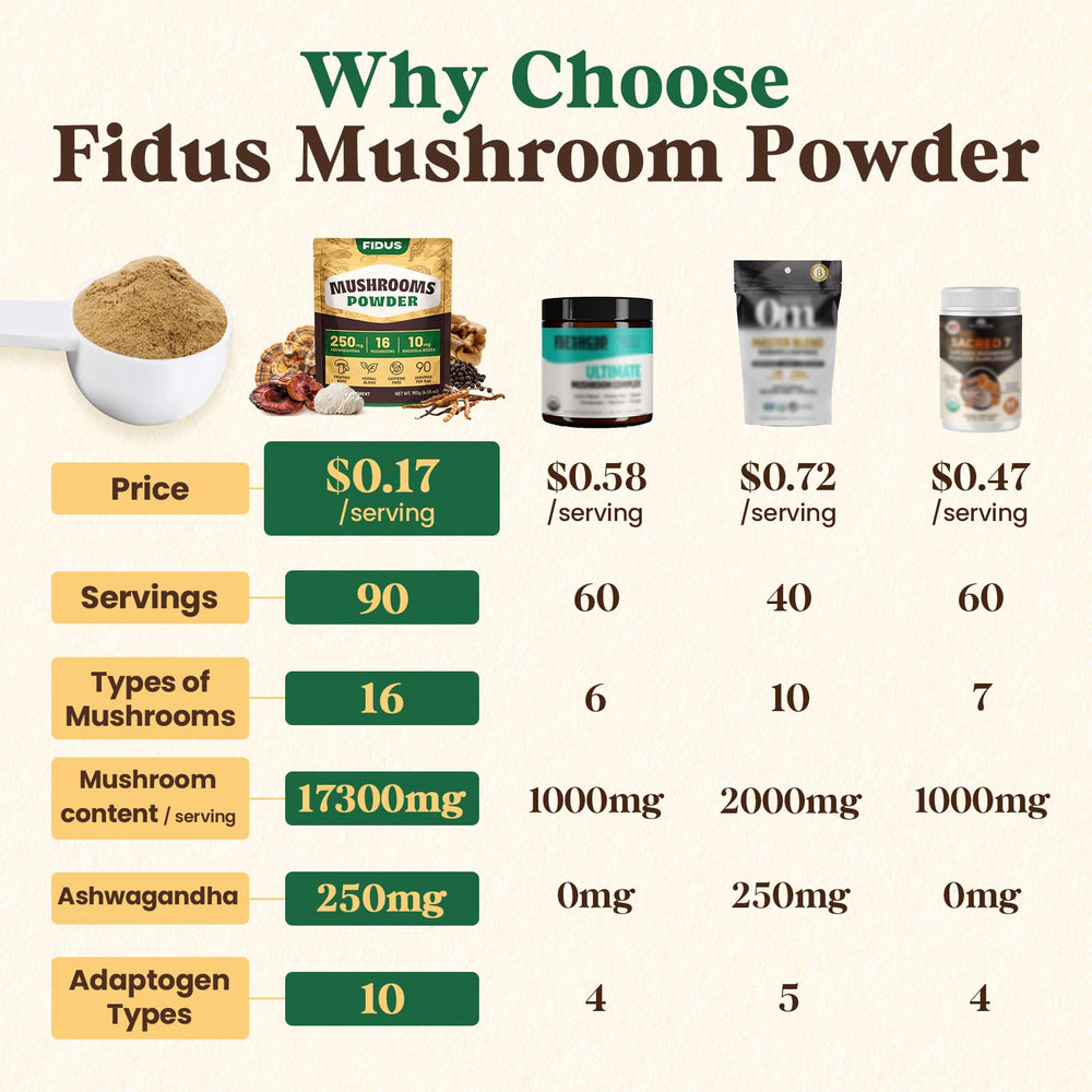Assorted mushrooms including Lion's Mane, Chaga and Reishi