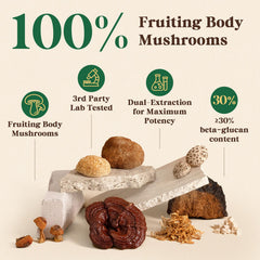 Fidus 16 Mushroom Powder pouch showing 90 servings