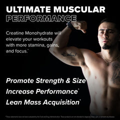 Graphic listing muscular strength and performance benefits