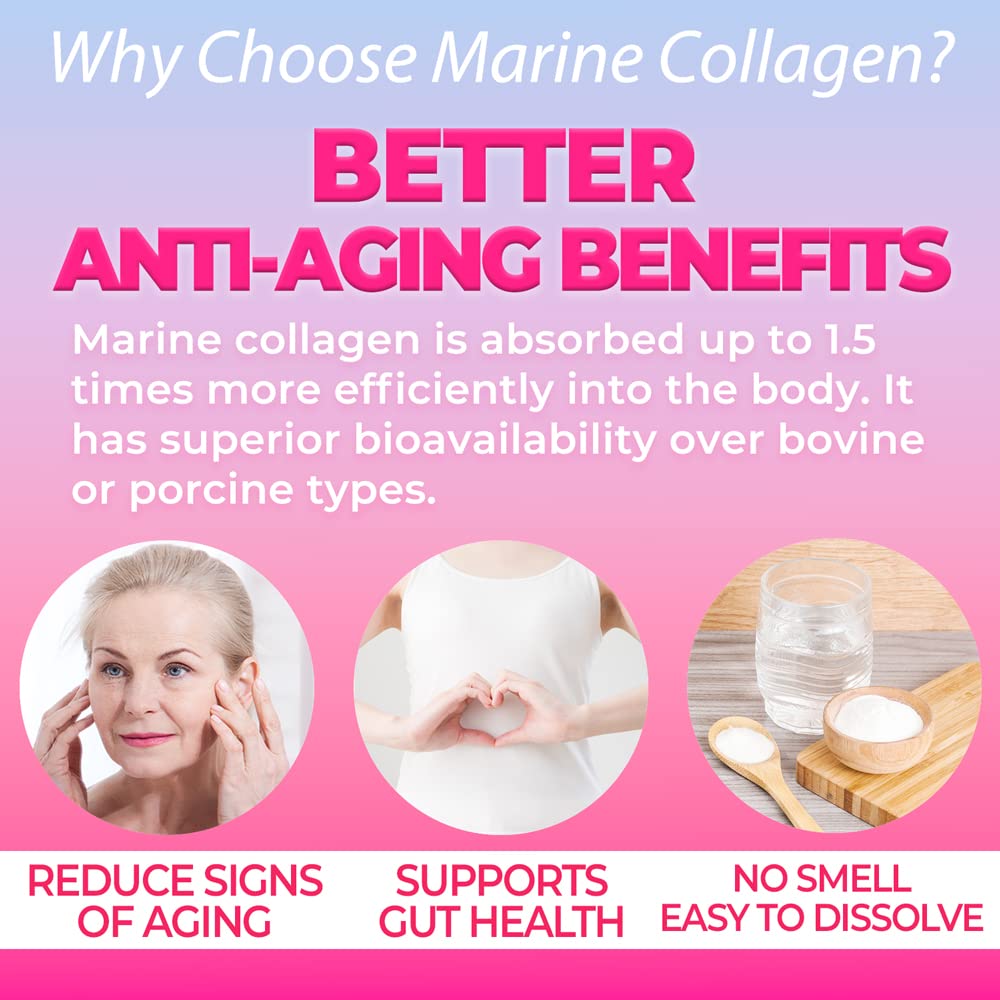 3D view of FINE JAPAN marine collagen powder jar
