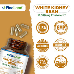 Manufacturing facility in the USA with GMP-certified quality control