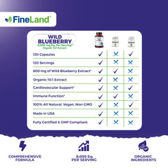 Brain and heart health icons for blueberry extract